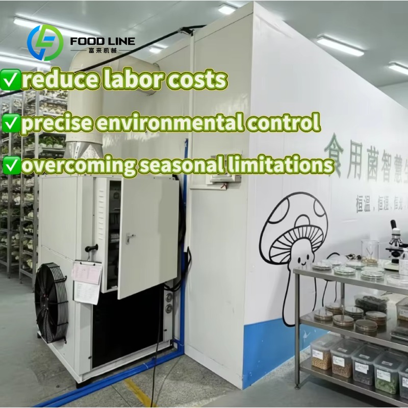 Agriculture Farming New Technology - Customized New Technology Greenhouse Planting System