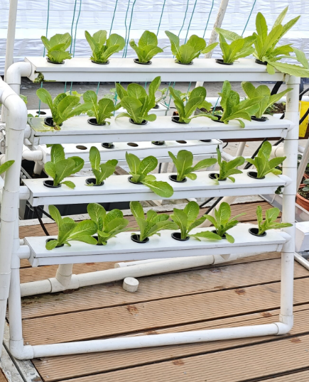 MINI 24 Holes Vertical Hydropo - Hydroponic Nft Channel 评论和价格
