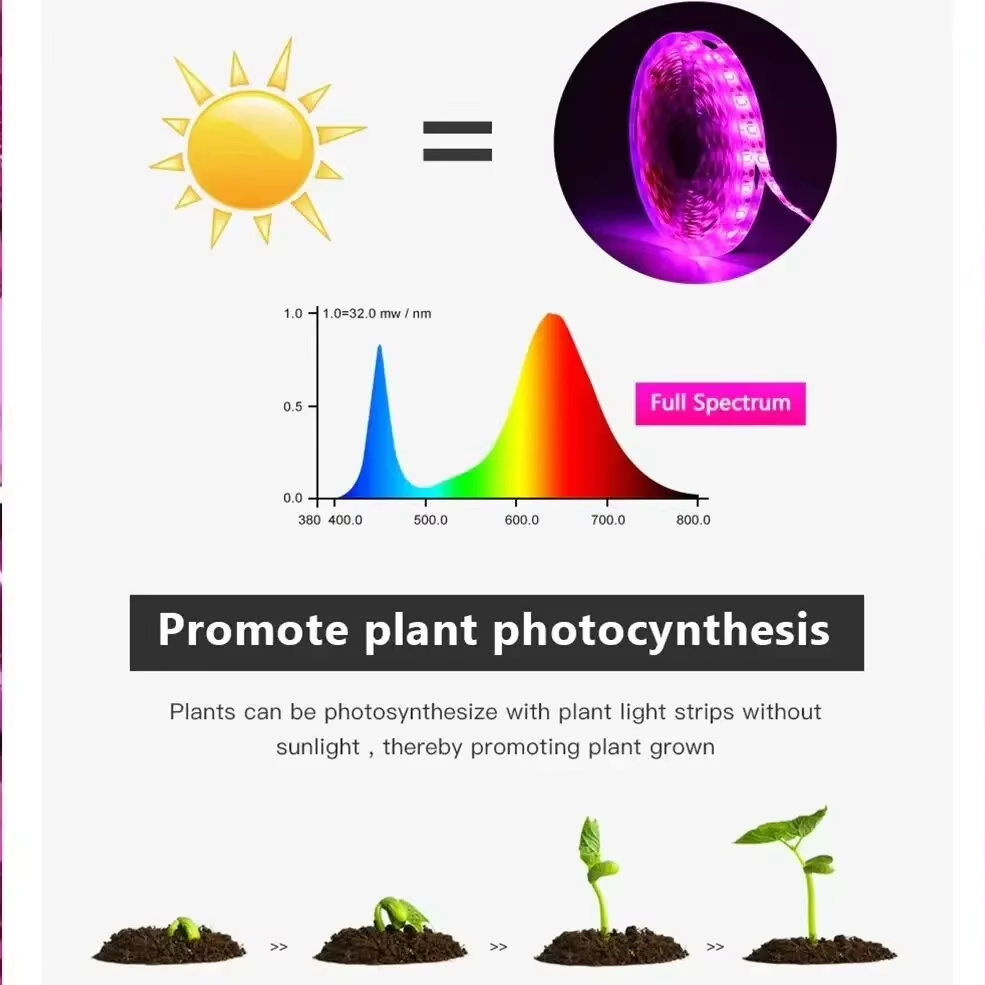 DC 5V USB Led Plant Grow Light - Hydroponic Nft Channel 评论和价格