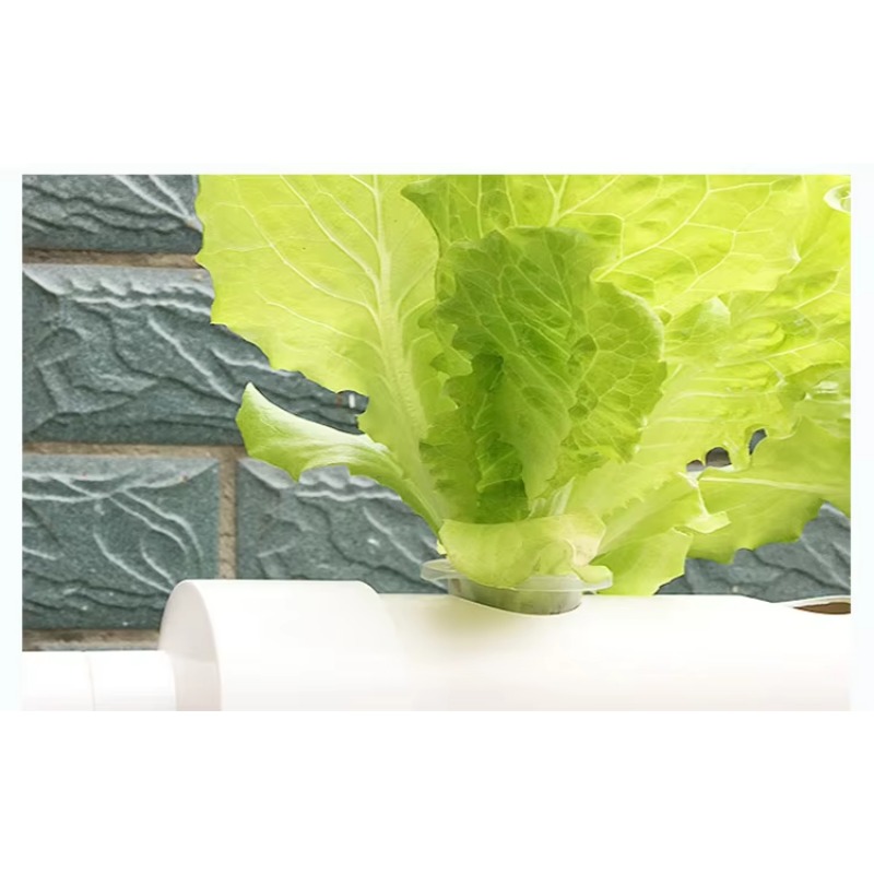 Easy Installation 36 Holes PVC - Hydroponic Nft Channel 评论和价格
