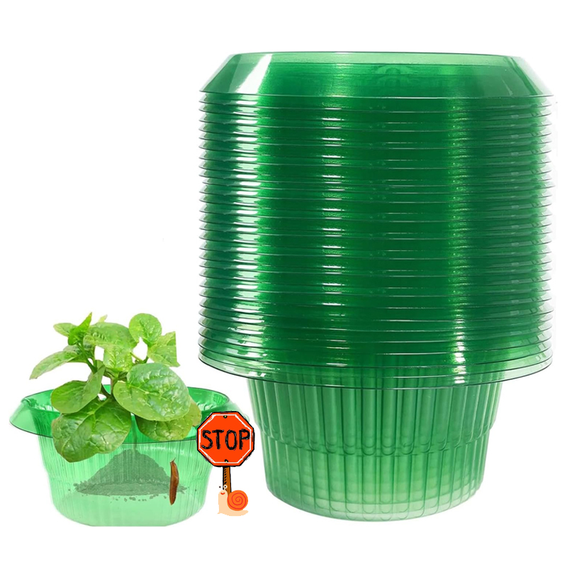 5-25Pcs Plants Slug Protection - Vegetable Transplanter 评论和价格