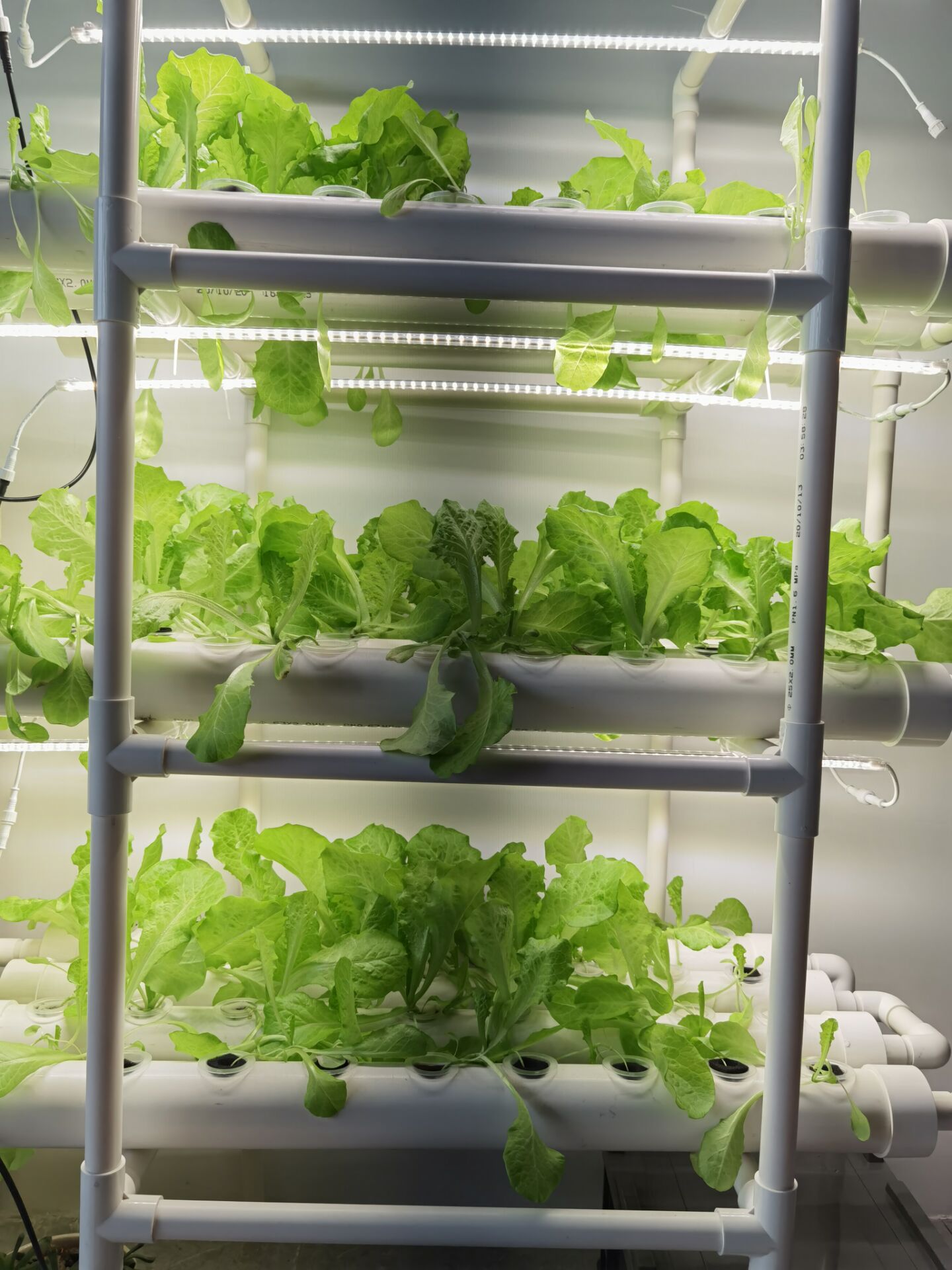 Factory Direct 3-layer Vertica - Hydroponic Nft Channel 评论和价格