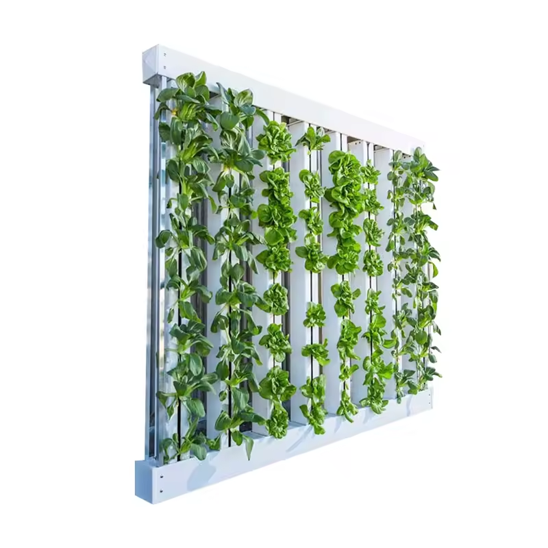 PVC Pipe Agricultural Greenhou - Hydroponic Nft Channel 评论和价格