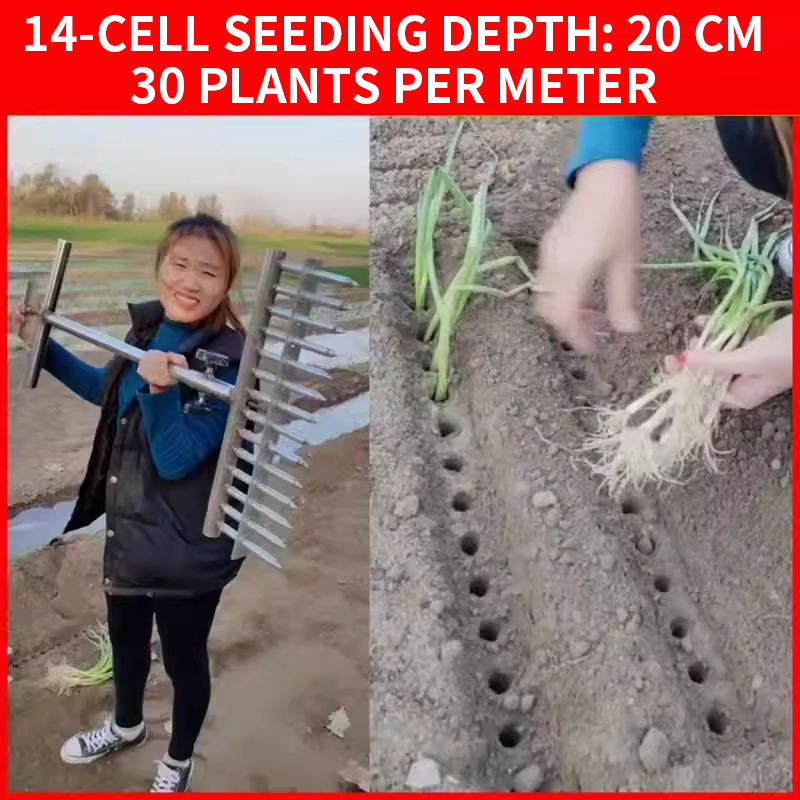Onion Planter, Rice Transplant - Vegetable Transplanter 评论和价格
