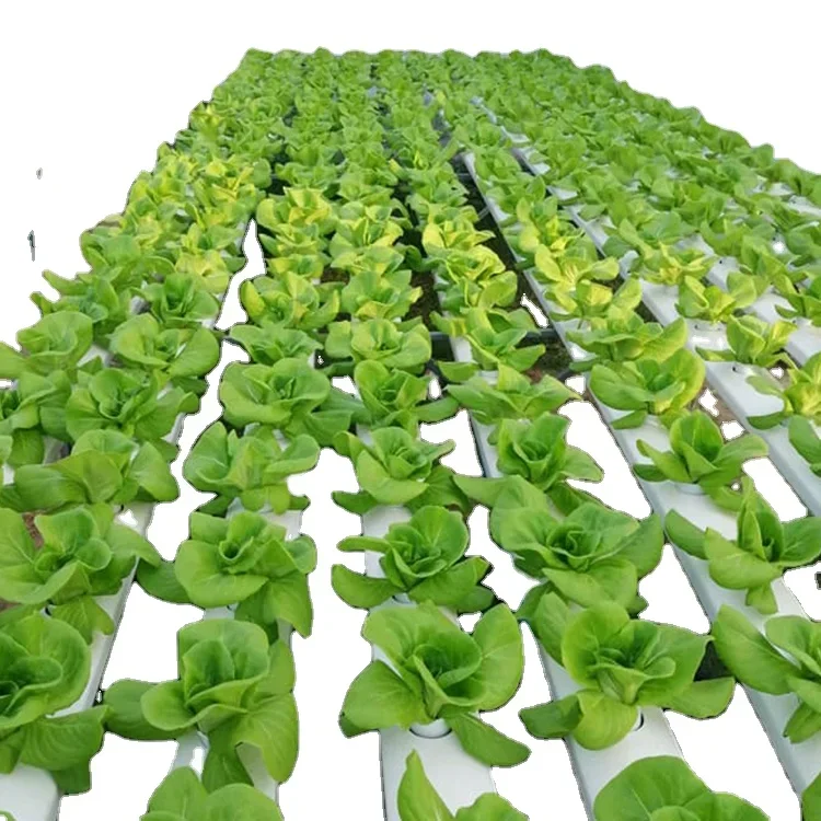 Manufacture Produce Vertical H - Hydroponic Nft Channel 评论和价格