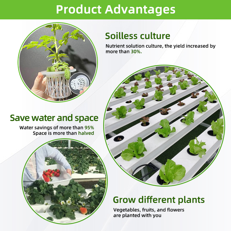 Nft Hydroponics PVC Channel Ir - Hydroponic Nft Channel 评论和价格