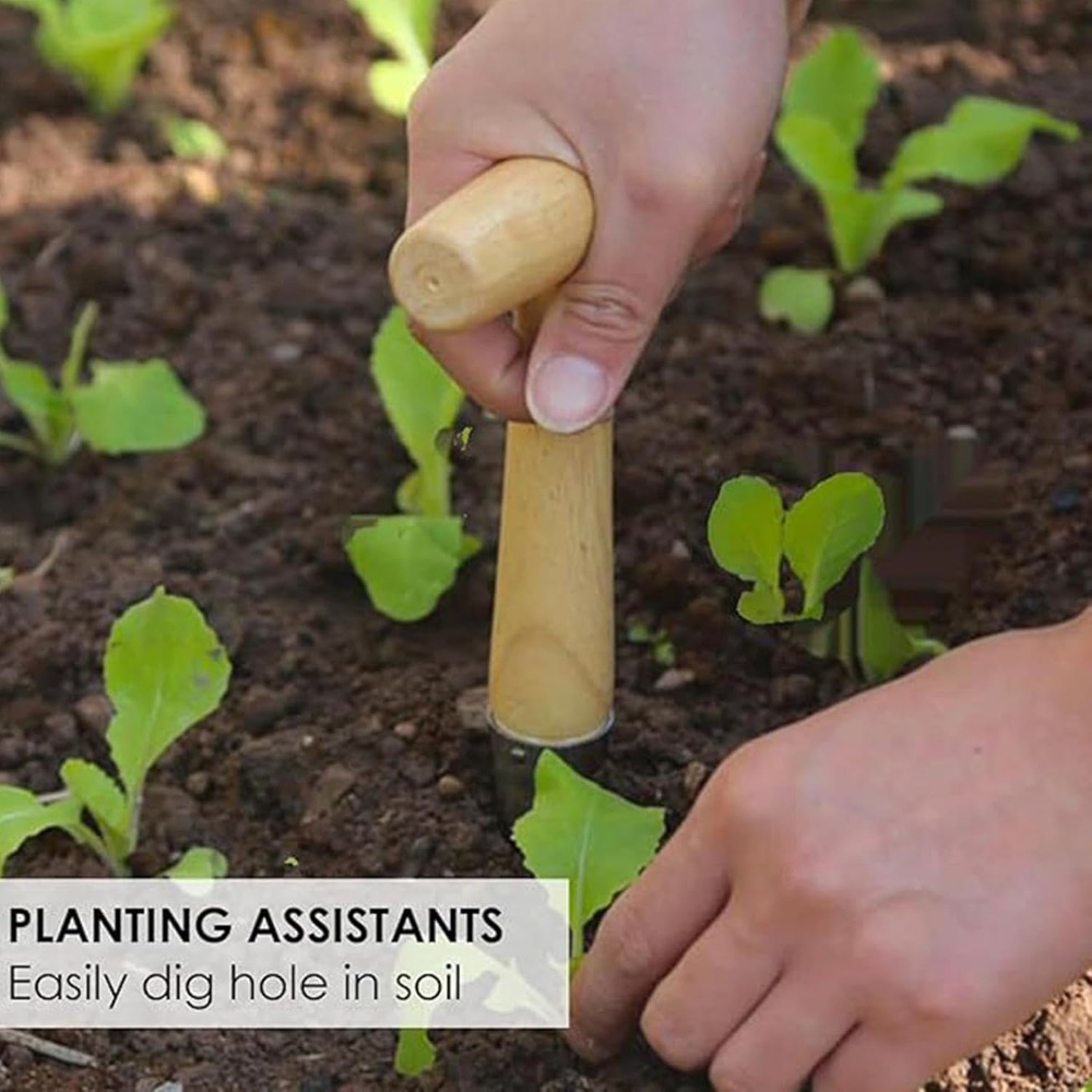 Vegetable Garden Seedling Tran - Vegetable Transplanter 评论和价格