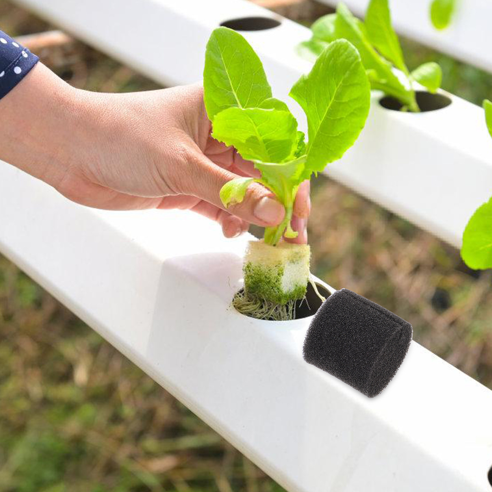 100Pcs Hydroponic Sponge Growi - Vegetable Transplanter 评论和价格