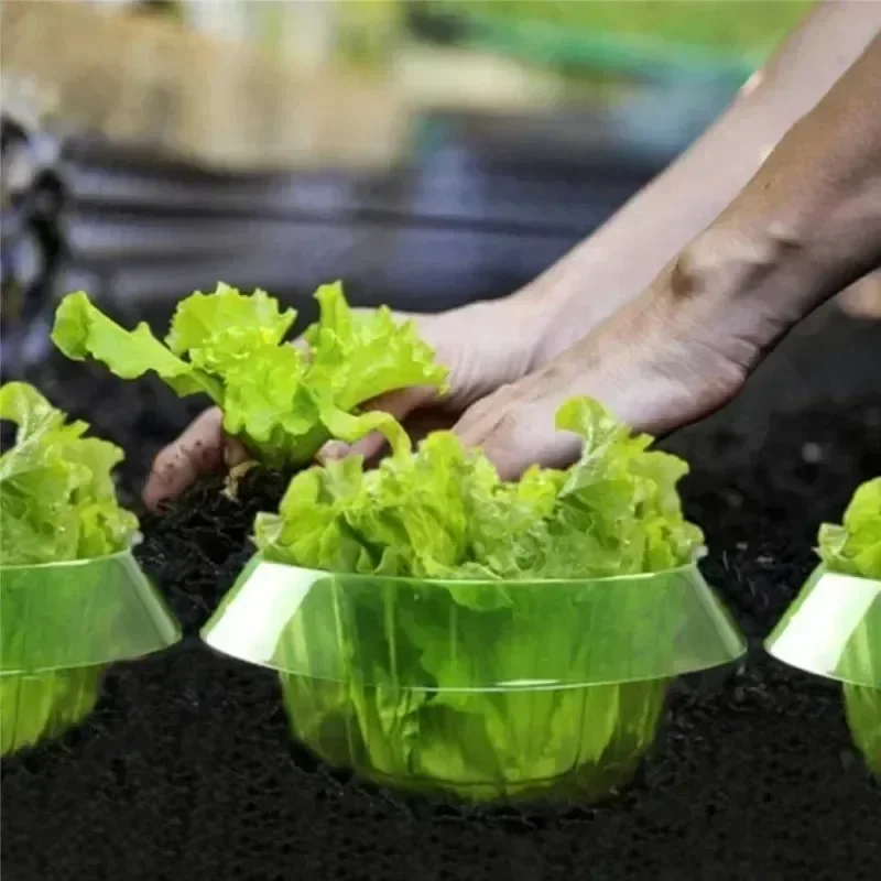 Plants Slug Protection Rings V - Vegetable Transplanter 评论和价格