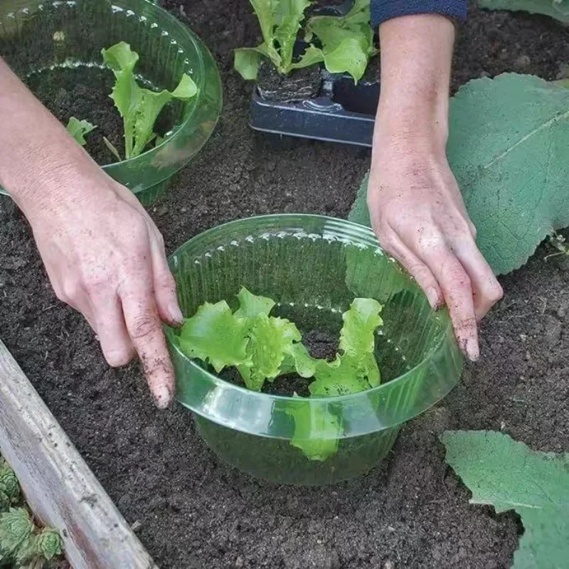 Plants Slug Protection Rings V - Vegetable Transplanter 评论和价格