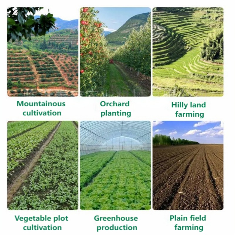 Hand Push Vegetable Seeder Mul - Vegetable Transplanter 评论和价格