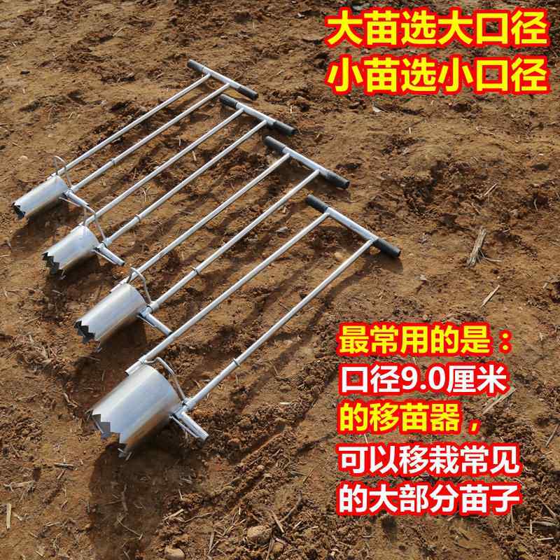 Vegetable seedling transplante - Vegetable Transplanter 评论和价格