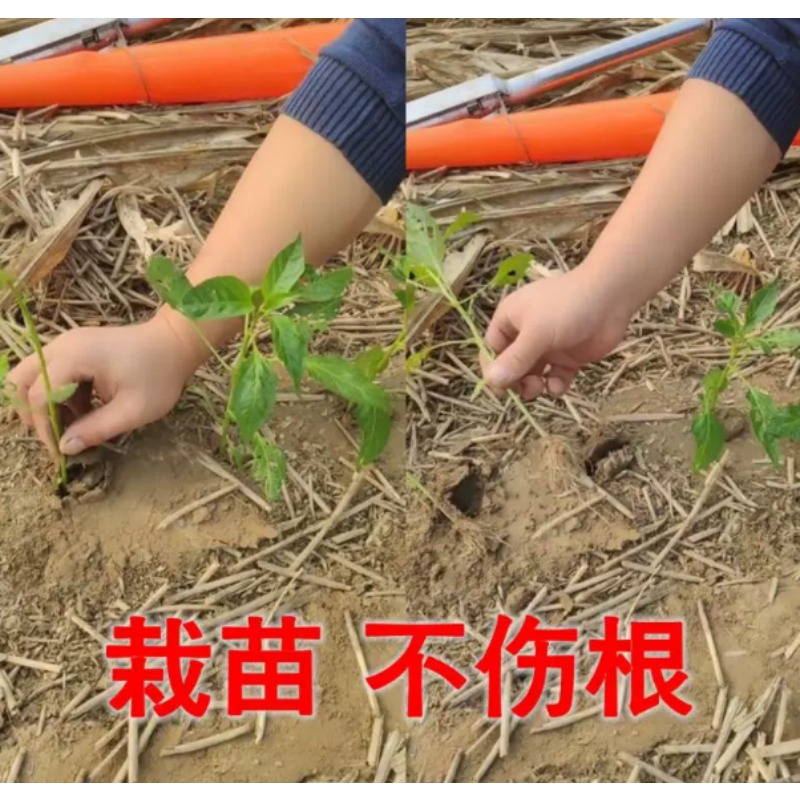 Agricultural Seedling Transpla - Vegetable Transplanter 评论和价格