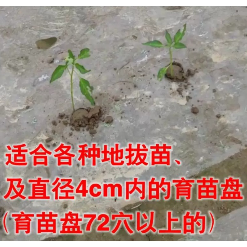 Agricultural Seedling Transpla - Vegetable Transplanter 评论和价格